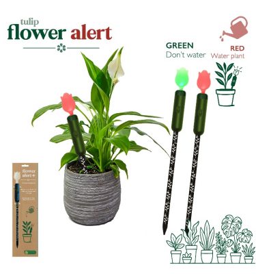 Tulip Flower Alert